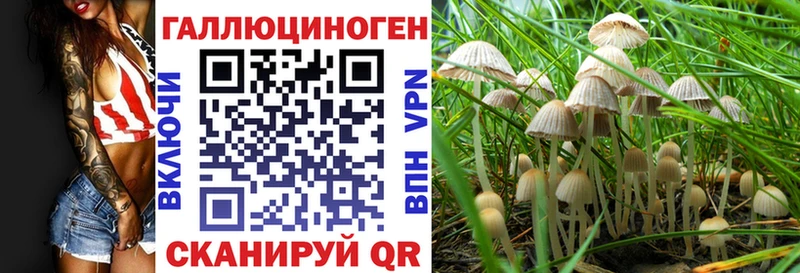 Псилоцибиновые грибы MAGIC MUSHROOMS  Княгинино 
